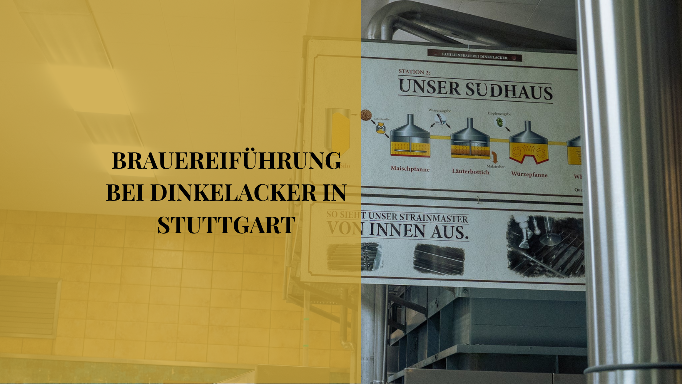 Was dich bei uns erwartet